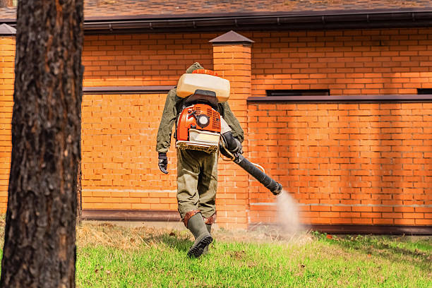 Trusted Emergency Pest Control service in Rancho Mirage, CA - Nex Pest Control